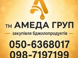Зображення для оголошення Закуповуємо сортовий МЕД акація