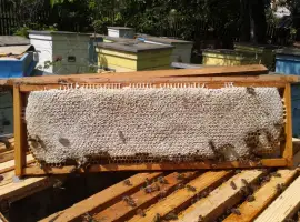 Зображення для оголошення Продам стільниковий мед у рамках