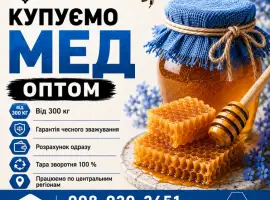 Зображення для оголошення Закуповуємо МЕД ОПТОМ в центральних обл