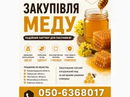 Зображення для оголошення АМЕДА ГРУП Закупівля меду оптом. Розрахунок одразу