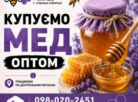 Зображення для оголошення ОПТ-МЕД закуповуємо мед у населення. ОПТ-МЕД
