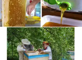 Зображення для оголошення Мед на продаж 2018 року