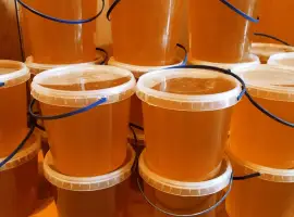 Зображення для оголошення Продам мед