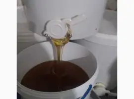 Зображення для оголошення Продам мед різнотрав'я