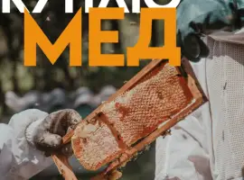 Зображення для оголошення Куплю мед від 300 кг Черкаська область
