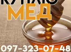 Зображення для оголошення Куплю мед від 300 кг Кіровоградська та Черкаська обл
