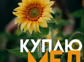 Зображення для оголошення Закупка МЕДУ у Кіровоградській області