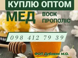 Зображення для оголошення Закуповуємо мед в необмеженій кількості
