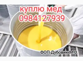 Зображення для оголошення Підприємство купує мед від 300кг для єкспору
