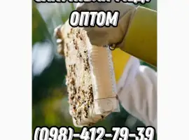 Зображення для оголошення Оптова закупка меда