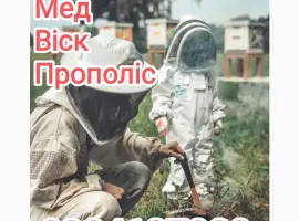 Зображення для оголошення Закупівля Меду
