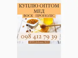 Зображення для оголошення Куплю мед в Харківській області