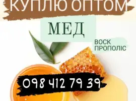 Зображення для оголошення Куплю мёд оптом