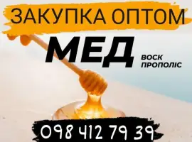 Зображення для оголошення Куплю мед для експорту