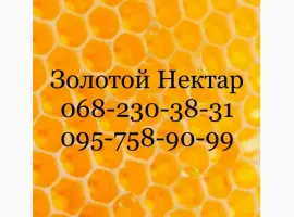 Зображення для оголошення Закупка меда по Днепропетровской и Херсонской обл