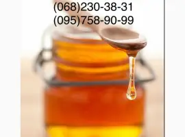 Зображення для оголошення Купим мед у пчеловодов на выгодных условиях