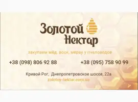 Зображення для оголошення Закупка Рапсового и Подсолнечного меда без антибитотиков