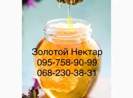 Зображення для оголошення Закупаем Рапсовый Мёд