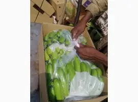 Зображення для оголошення Продам банани від постачальника з 20 тонн. Банани вже в Україні