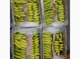 Зображення для оголошення Продам банани