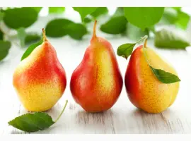 Зображення для оголошення Купим грушу