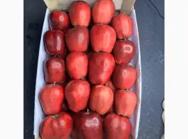 Зображення для оголошення Продам яблука Джеромін