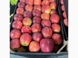 Зображення для оголошення Продам яблоки несколько сортов с хранилищя. От производителя с 20 тонн