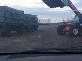 Зображення для оголошення Купимо яблука на сік