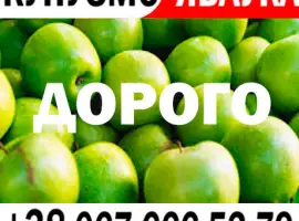 Зображення для оголошення Куплю яблоко на сік - Доставка постачальника на м. БАР - - Новий сезон