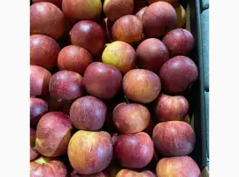 Зображення для оголошення Продам яблоко