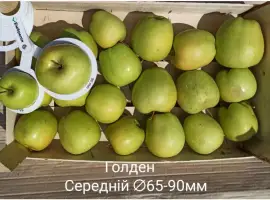 Зображення для оголошення Постійно продаю яблука в асортименті