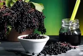 Зображення для оголошення Купим СУШЕНУЮ ягоду БУЗИНЫ.Самовывоз.Заключаем договор