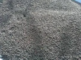 Зображення для оголошення Купим цвет бузины