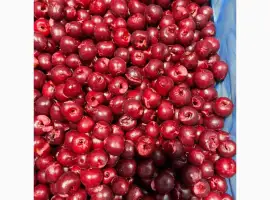 Зображення для оголошення Продам вишня б/к шокова заморозка