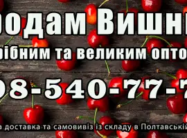 Зображення для оголошення Продаю вишню