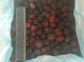 Зображення для оголошення Ежевика Ожина очищенная замороженная