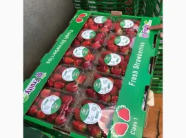 Зображення для оголошення Клубника