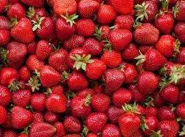 Зображення для оголошення Куплю полуницю 10-25кг в день тернопіль