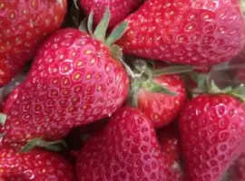 Зображення для оголошення Купуємо свіжу полуницю