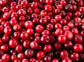 Зображення для оголошення Продам журавлину (клюкву)