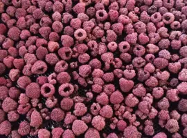 Зображення для оголошення Продам малину сушену