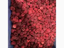 Зображення для оголошення Продам малину в гофроящику