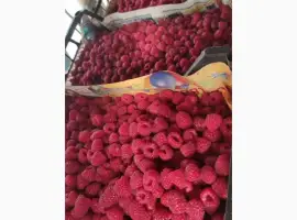 Зображення для оголошення Купимо малину від фермерів