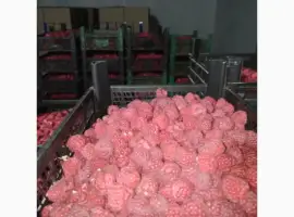 Зображення для оголошення Закуповуємо малину на заморозку в будь якому об'ємі
