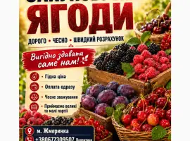 Зображення для оголошення Закупляємо ОПТОМ свіжу ягоду малини на постійній основі