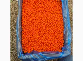 Зображення для оголошення Продам обліпиху висшого сорту заморожену