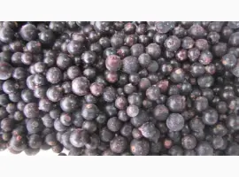 Зображення для оголошення Куплю чорна смородина заморожена