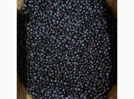 Зображення для оголошення Продам чорницю очищену і неочищену заморожену