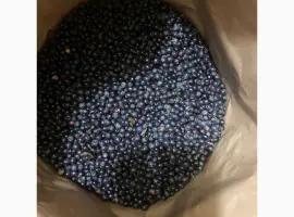 Зображення для оголошення Продам чорницю заморожену