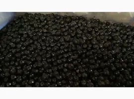 Зображення для оголошення Продам чорницю IQF 1го сорту